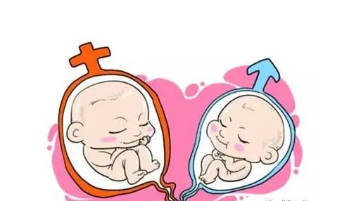 广州供卵试管婴儿选性别包男孩