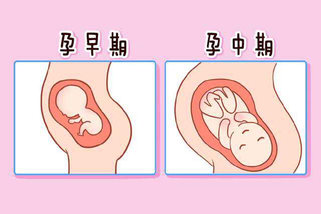 输卵管堵塞的预防和治疗指南，助您安心备孕