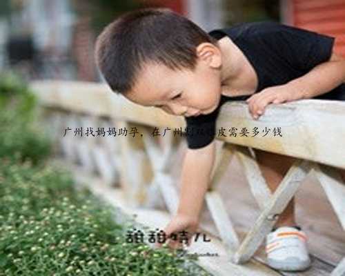 广州找妈妈助孕，在广州割双眼皮需要多少钱