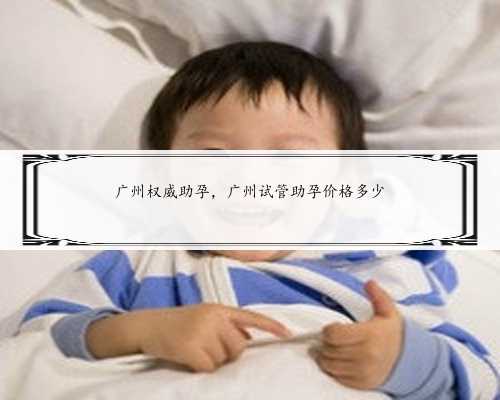 广州权威助孕，广州试管助孕价格多少