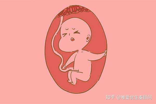 杭州哪有借卵医院,绝经3年的46岁高龄女性可以借卵子做试管婴儿吗？